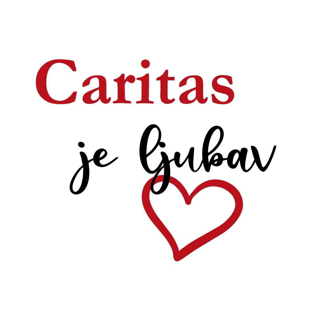 Read more about the article Dan Caritasa i prvi susret povjerenika župnih Caritasa